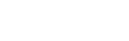 visa icon